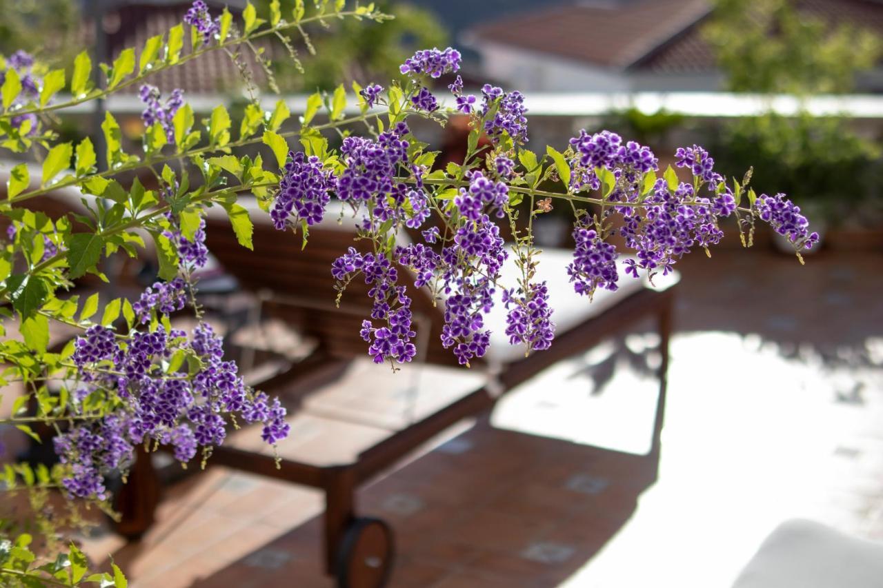 Malaga Hills Double Comfort Boutique & Wellness Eco-Hotel -Adults Only- Cómpeta Buitenkant foto