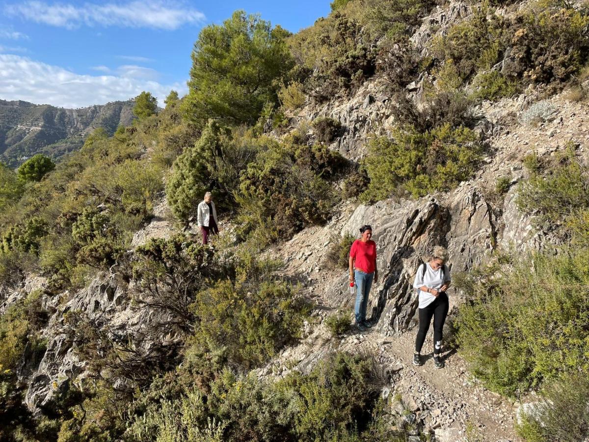 Malaga Hills Double Comfort Boutique & Wellness Eco-Hotel -Adults Only- Cómpeta Buitenkant foto